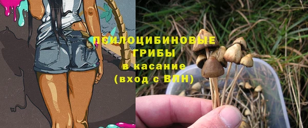 трава Осинники