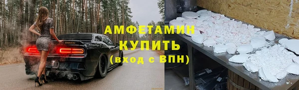 трава Осинники
