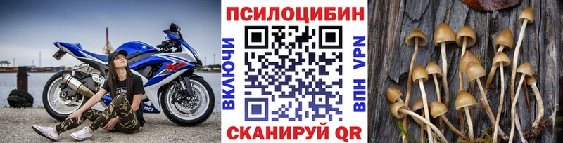 Галлюциногенные грибы мухоморы  наркошоп  ОМГ ОМГ ссылки  Яранск 