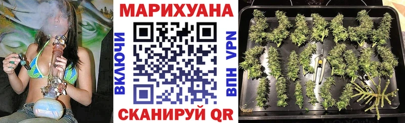 купить наркоту  Яранск  Каннабис план 